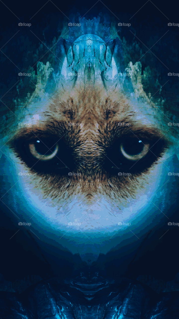 I'm watching u. I'm watching u