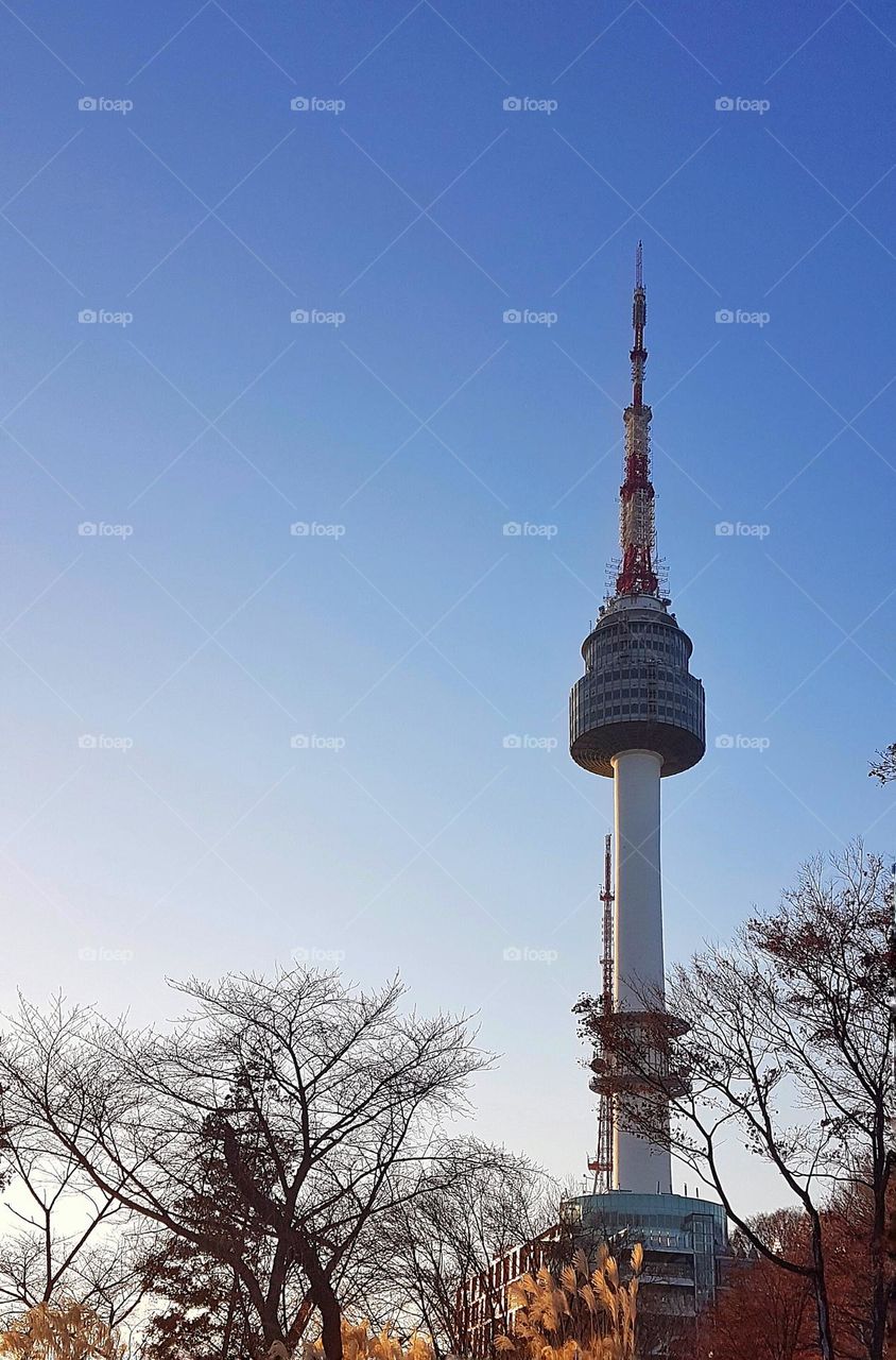 N Seoul Tower