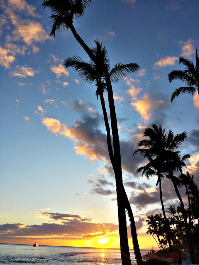 Sunset. sunset