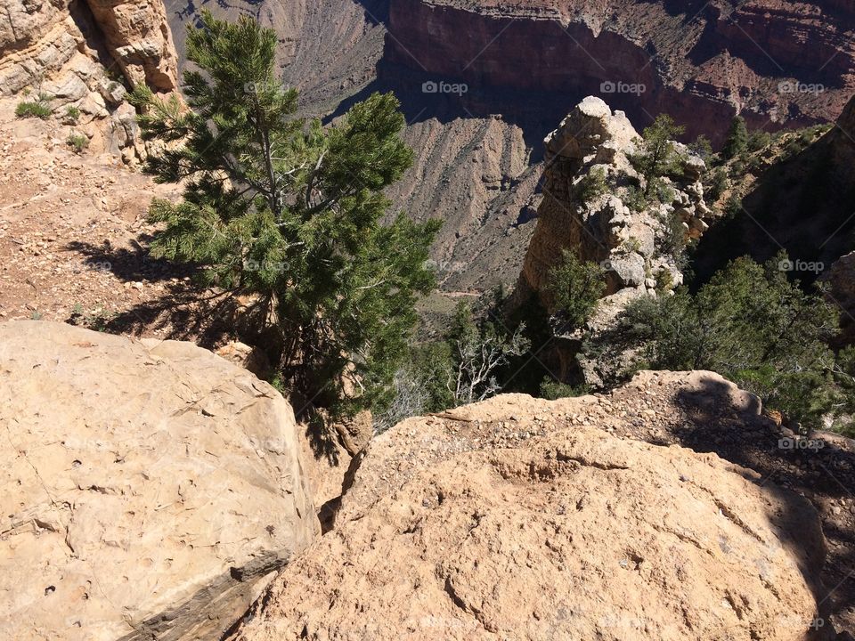 Canyon Hike 