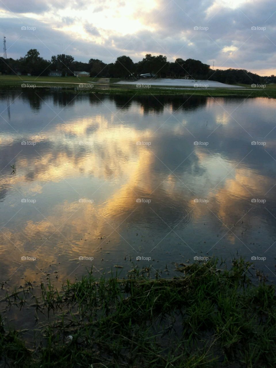 lake life. reflection