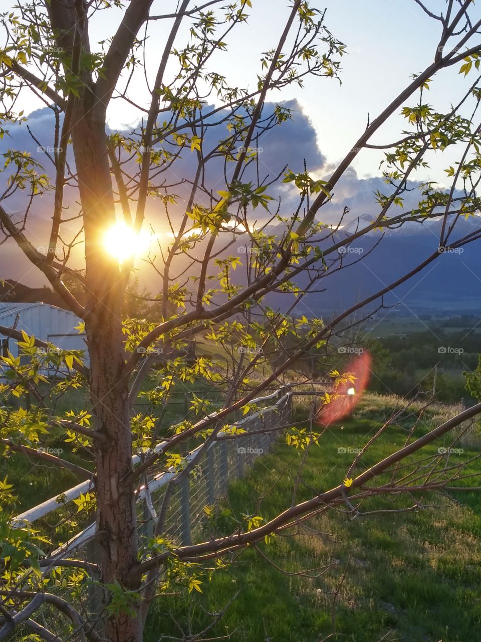 spring time sunset