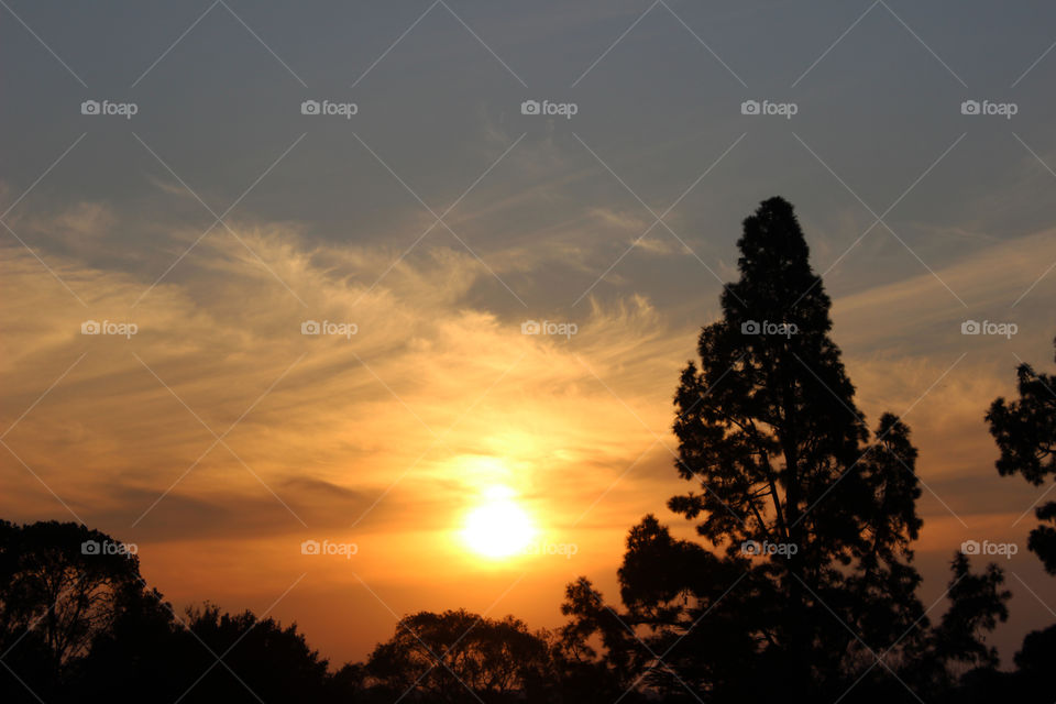 Golden South African sunset
