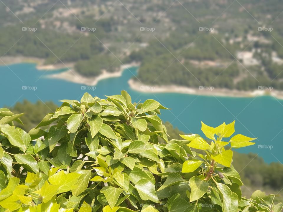 Leaves#nature#lake#forest#colors#tourist