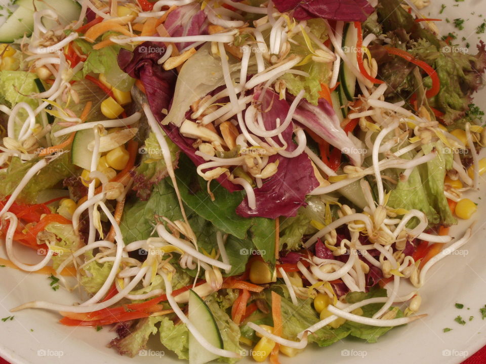 Chinese plant roots and vegetables