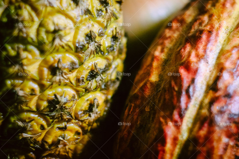 Hawaiian Pineapple and a Cacau Fruit skin with colorful lighting. Details of fruit skin, creamy Bokeh