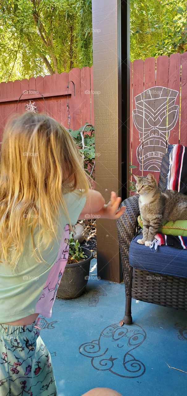 Granddaughter teaching kitty karate!