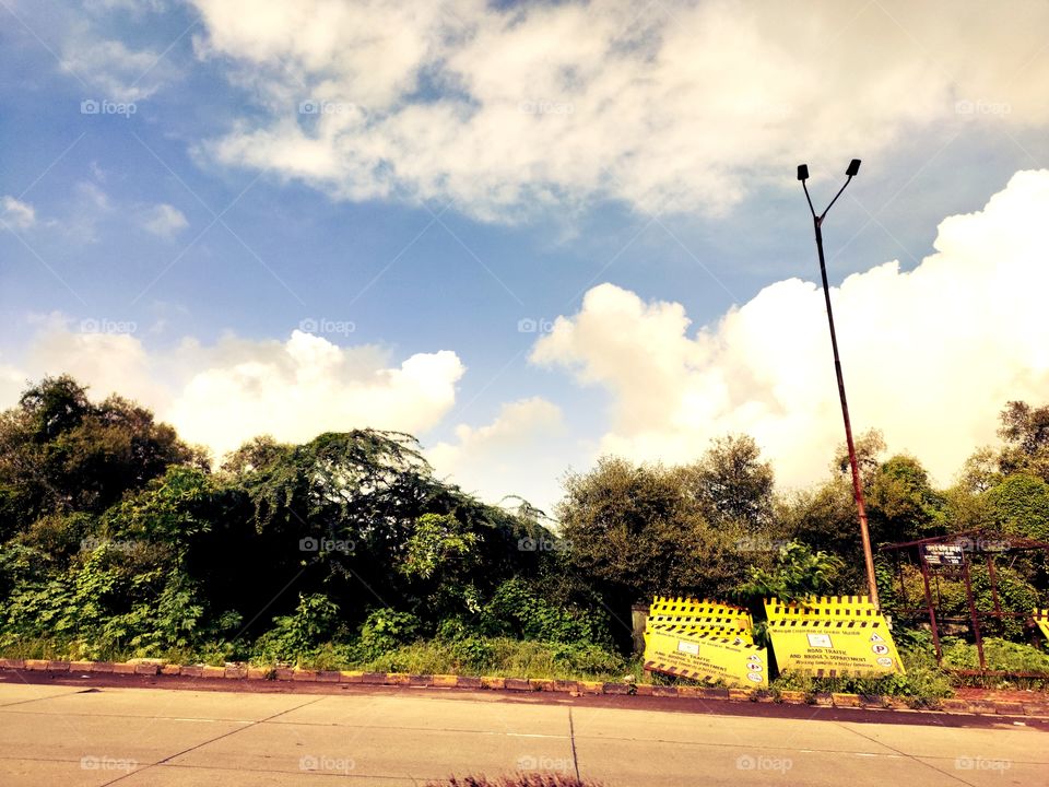 Landscape Mode
Cloudy weather ☁️💭☁️
 Forest🌿🍀🌱🌴
Roads 🛣️🛣️