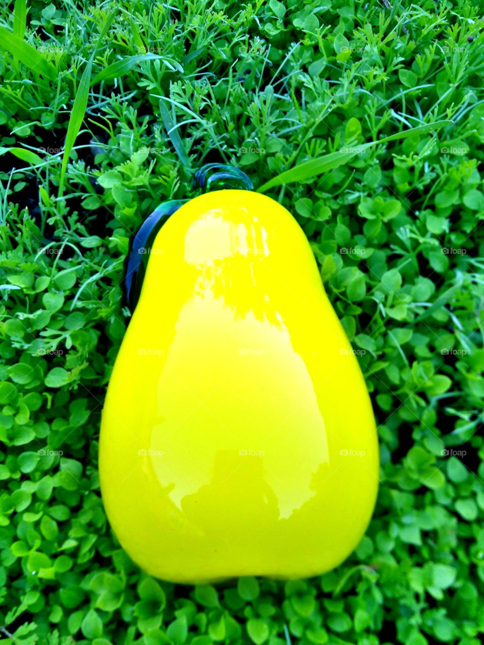 yellow glass pear