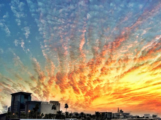 Winter Sky