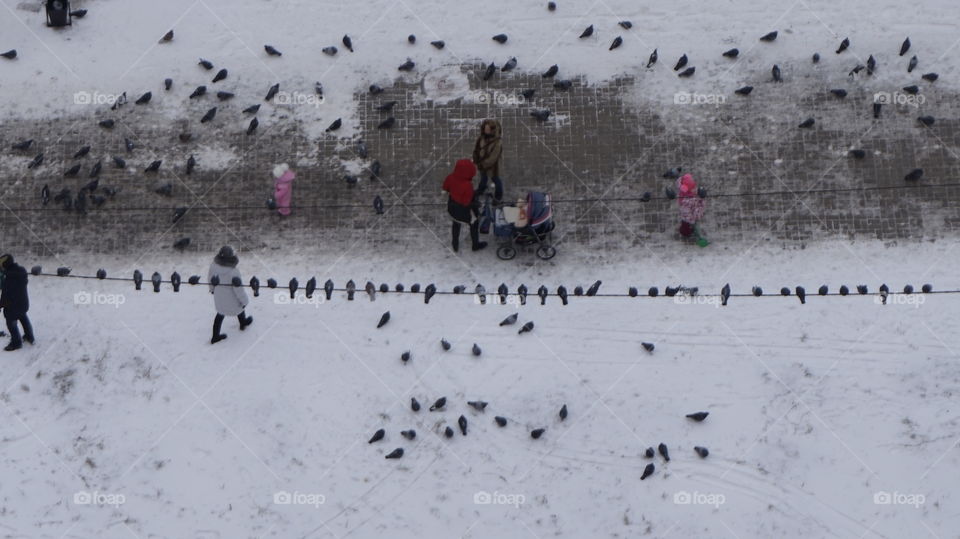people and birds