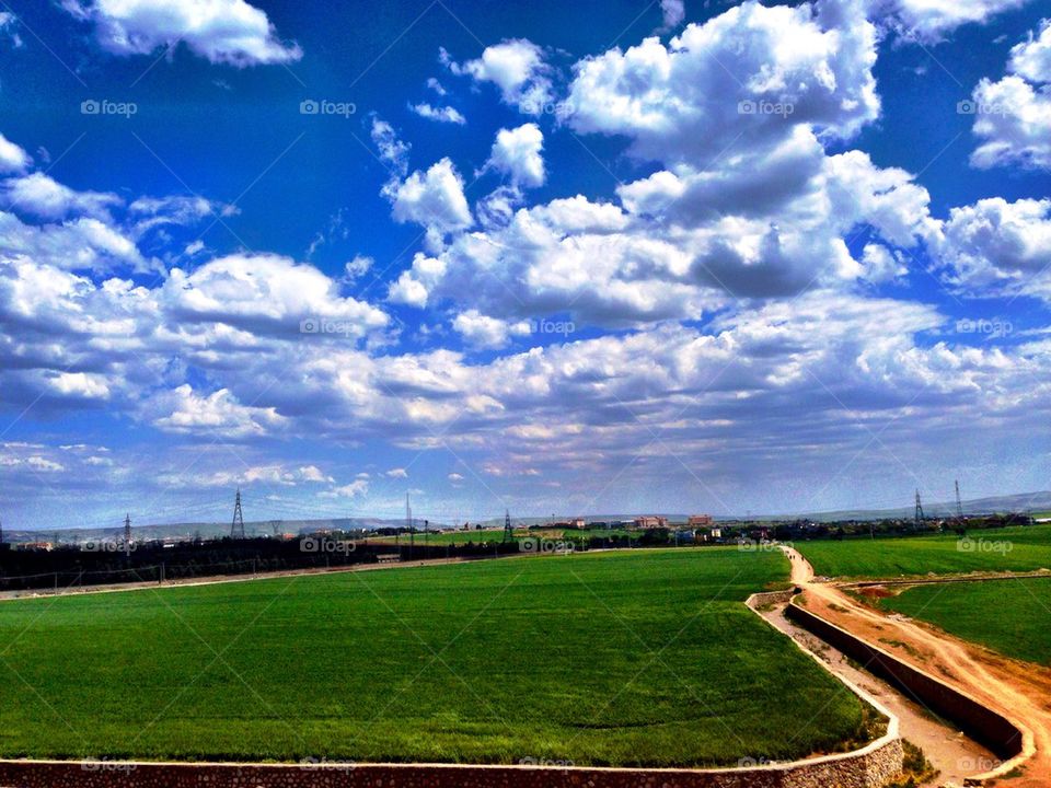 Grass field against sky