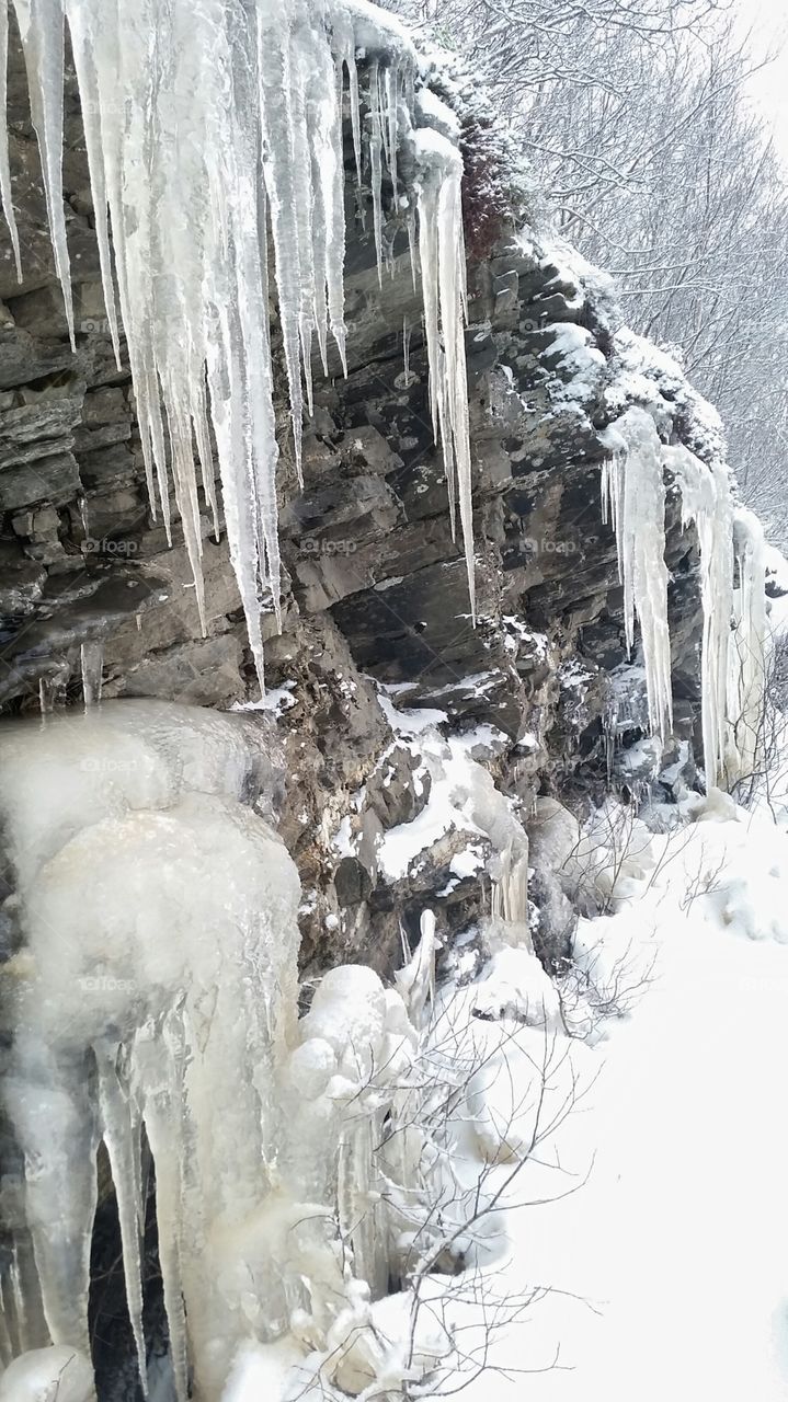 Many icicles..