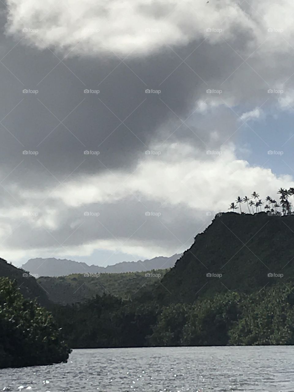 Clouds in the Canyon 