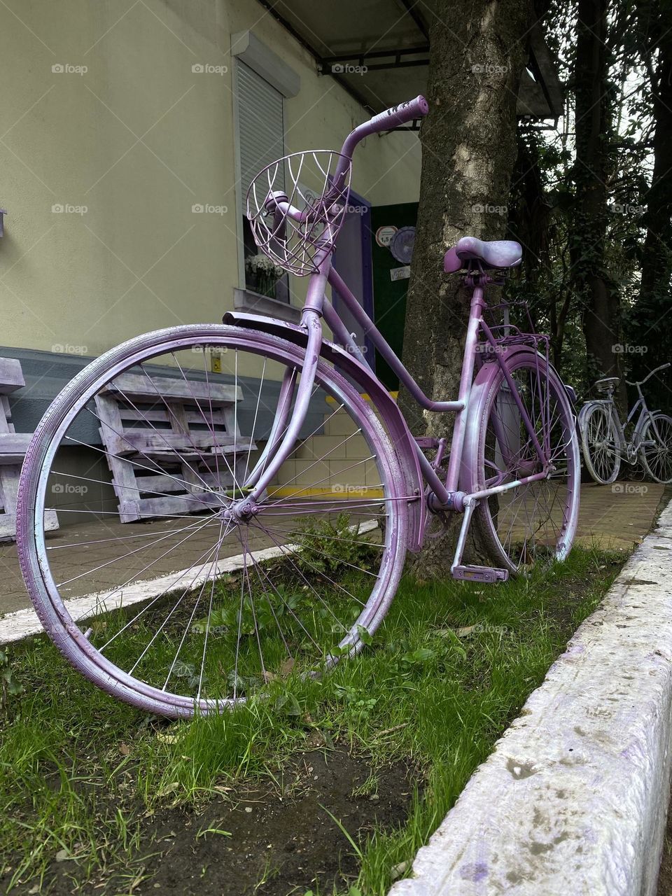Forever purple bike