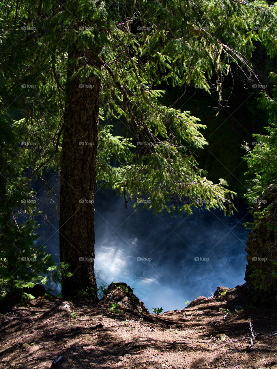 The beautiful waters of the McKenzie River in the forests of Oregon 