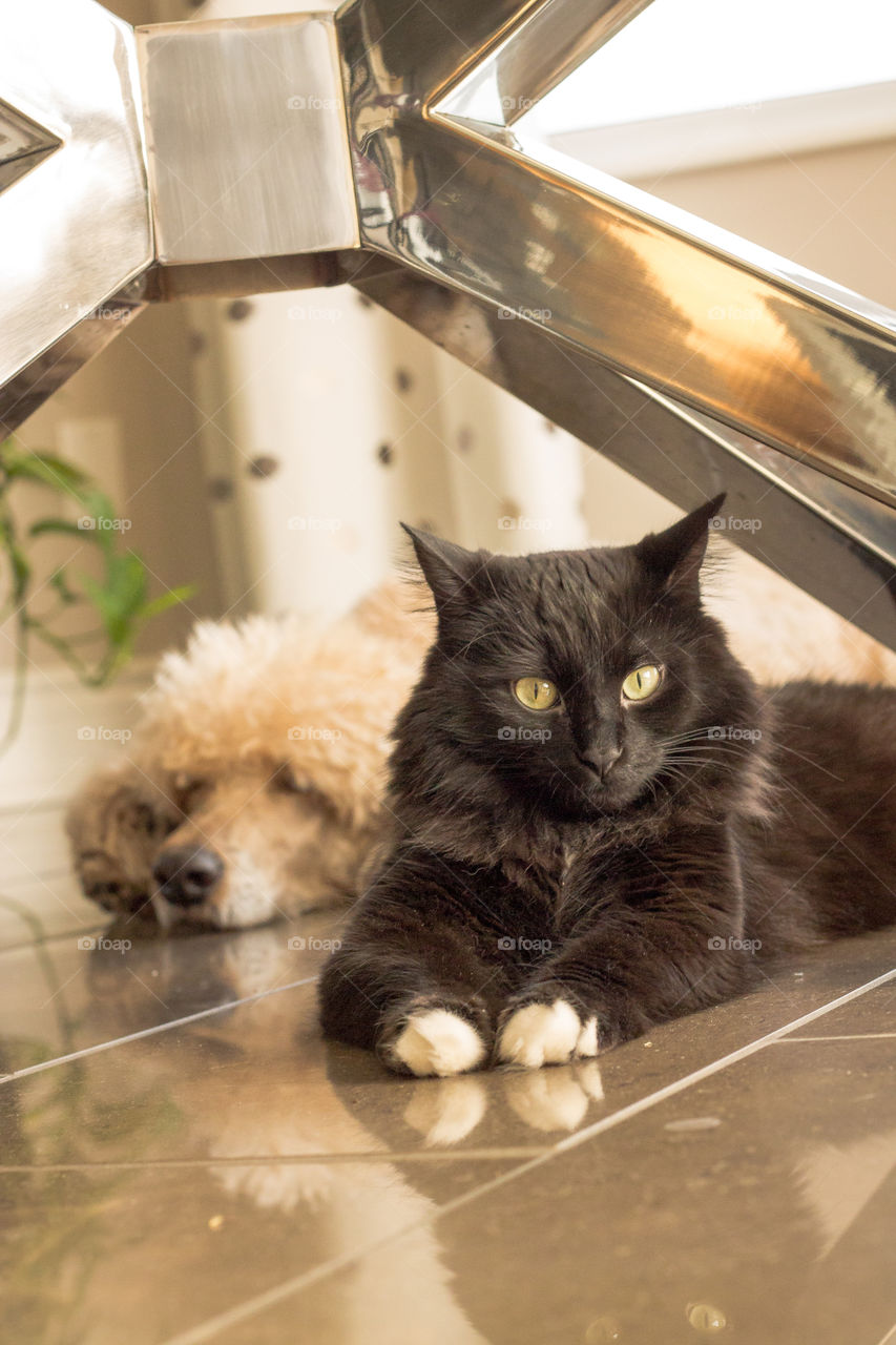 Unexpected friendship is the best one...