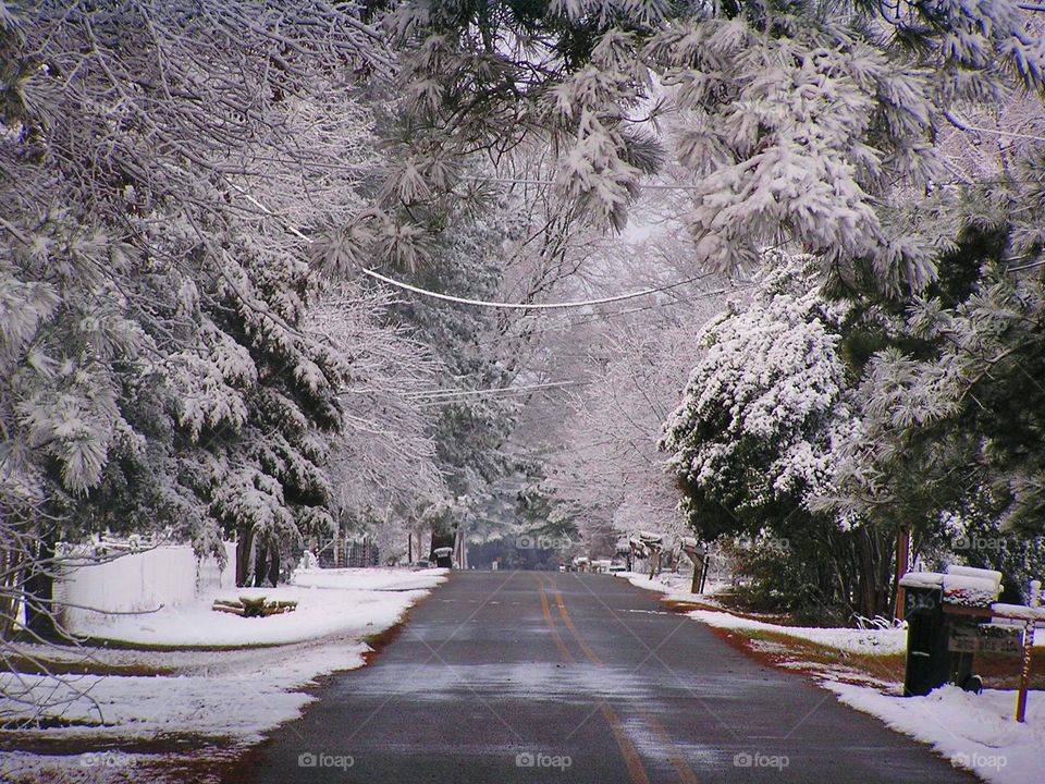 Empty road during snow fall