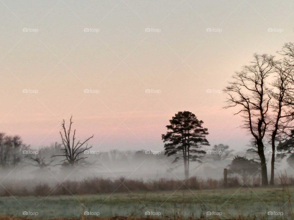 misty sunrise