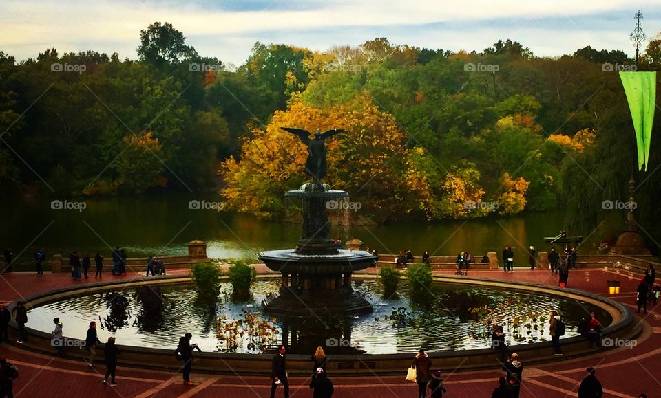 Central Park, New York City