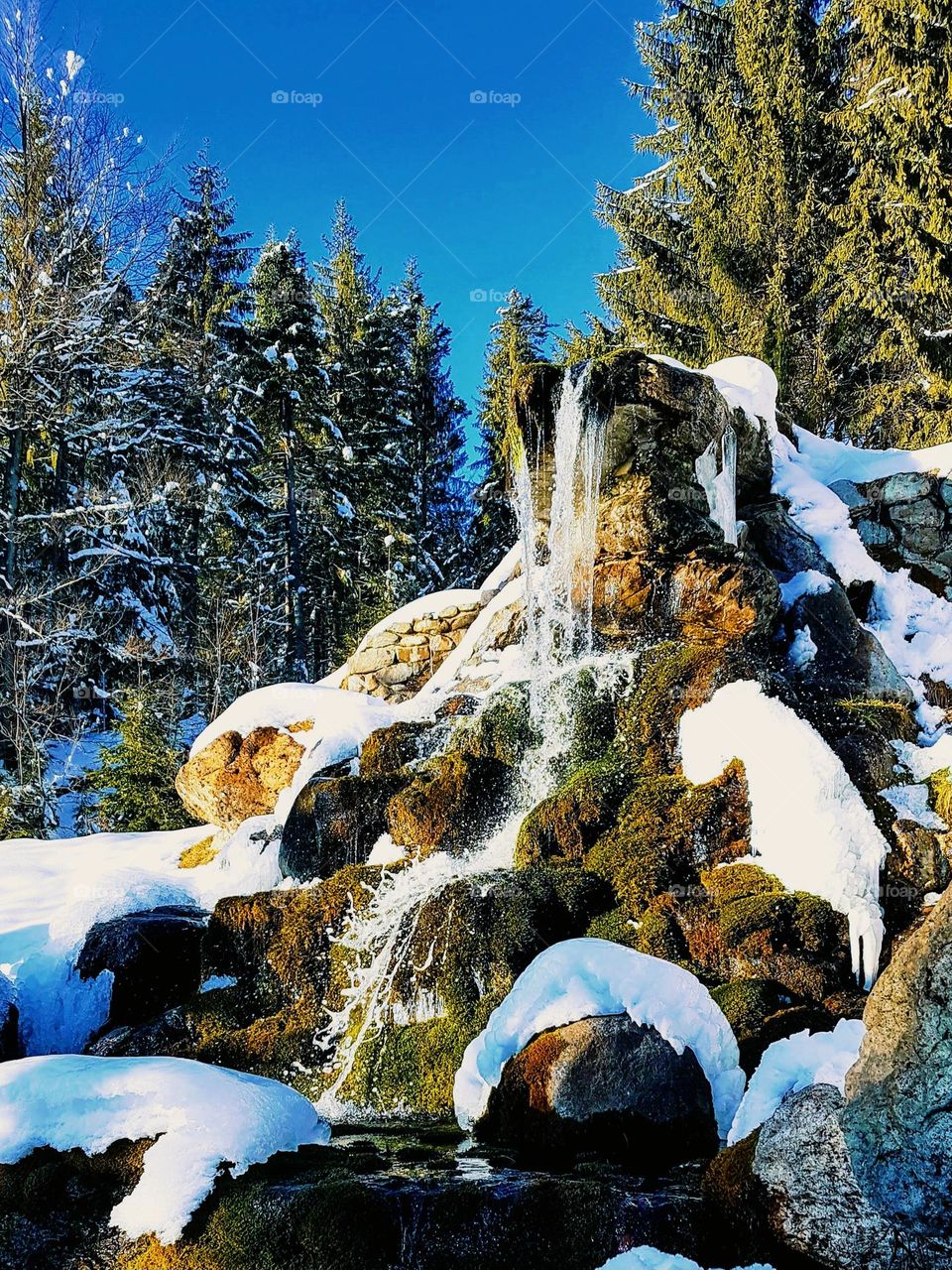 the frozen water spring