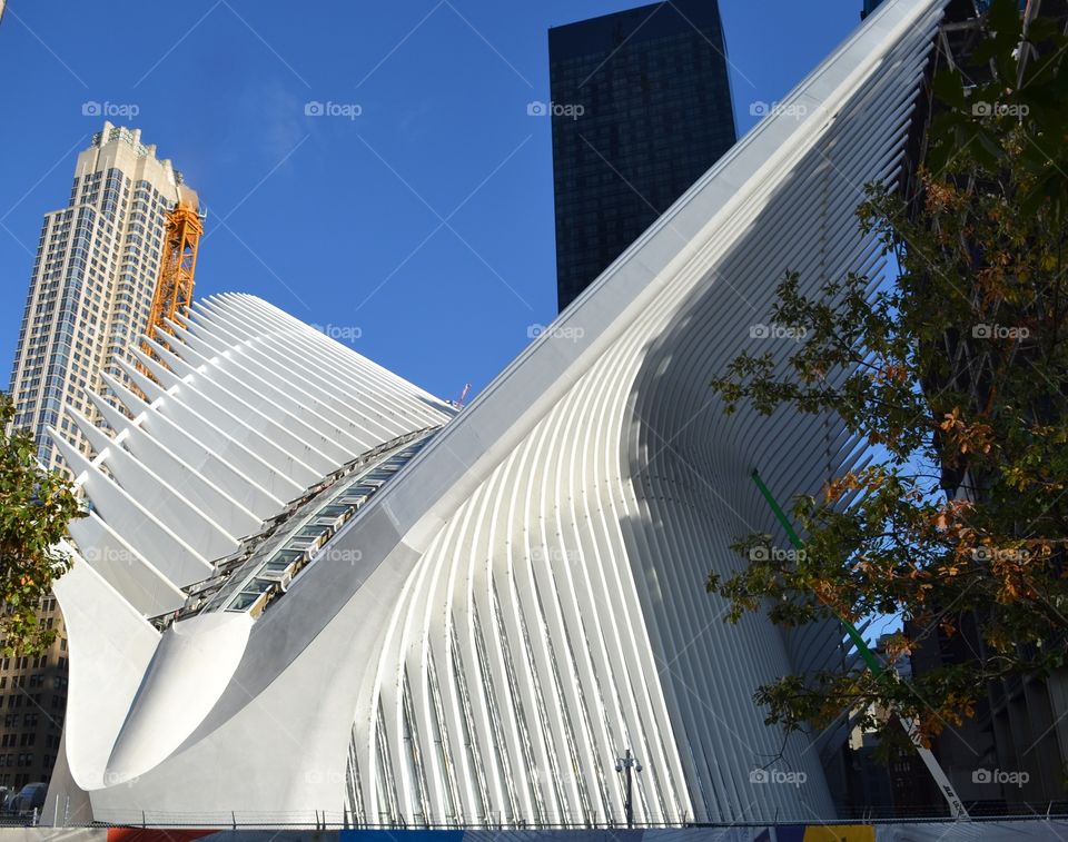Calatrava's Oculus Transit Station in Manhattan 