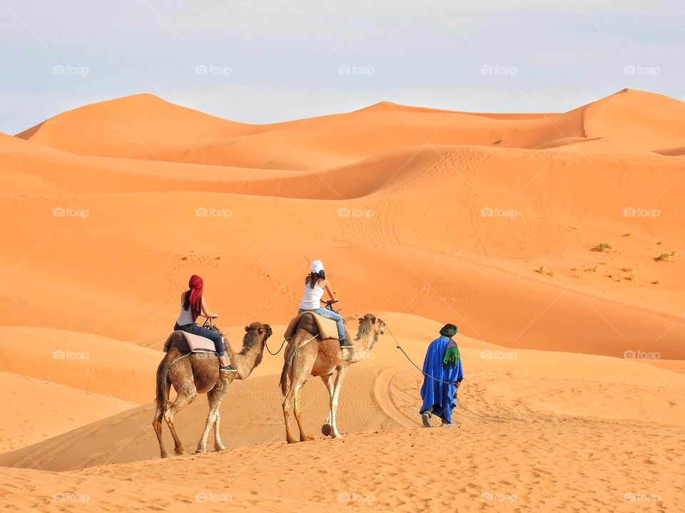 A walk in the desert