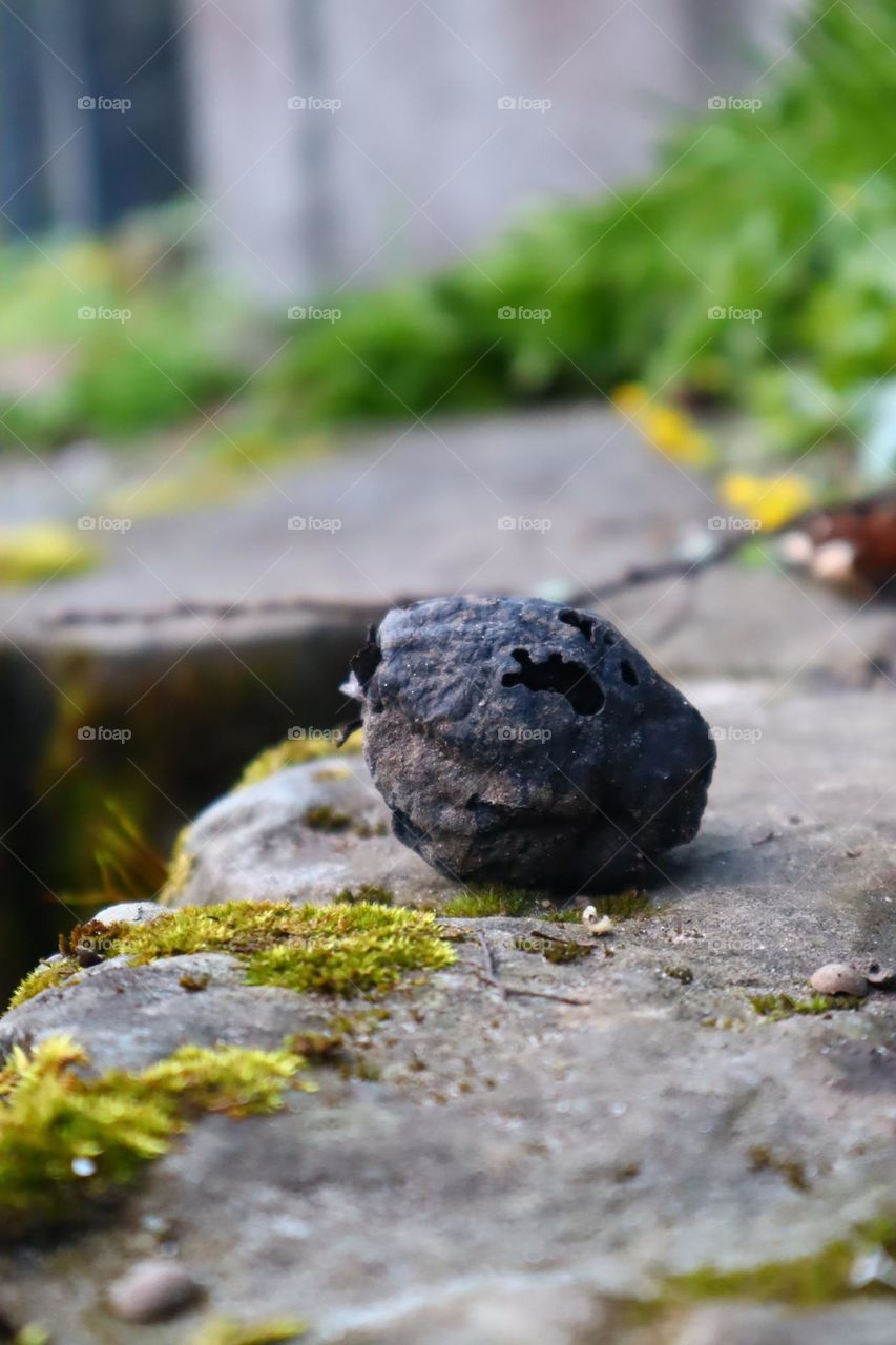 Hernst und Frühling in einem Blick