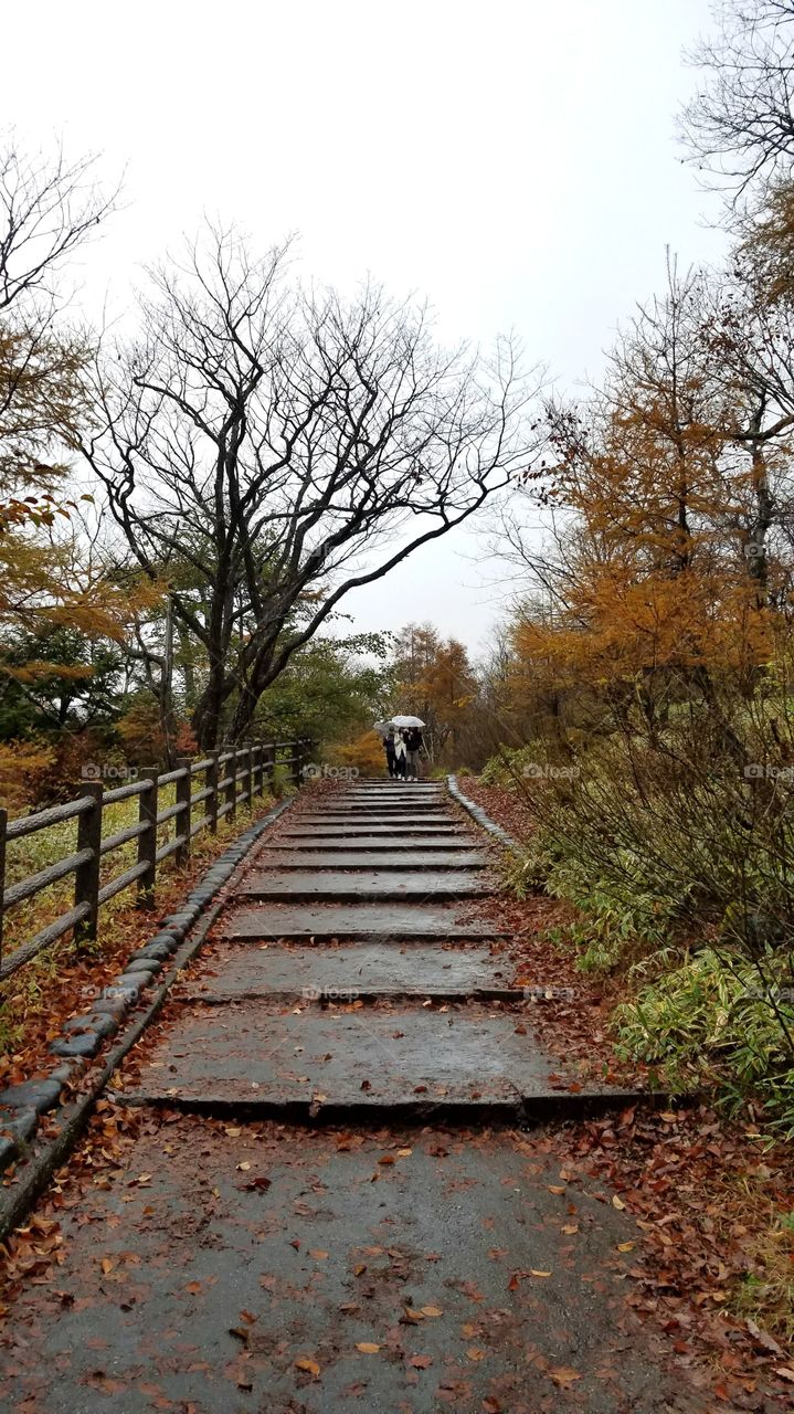 Stair walks