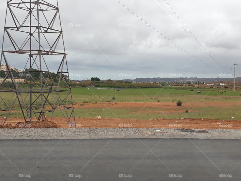 nature vs revolution