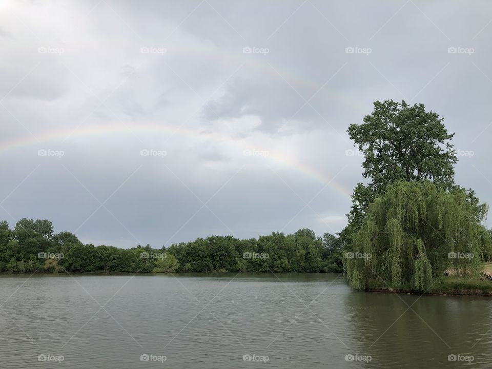 Rainbows Over Holiday Lake, rainbow, rainbows, double, double rainbow, lake, Holiday Lake, lake, willow, tree, trees, water, clouds, storm, sky, weather 