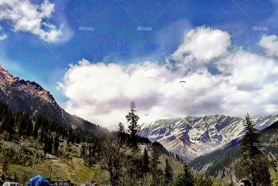 Floating wildlife in the foothills of Himalayas