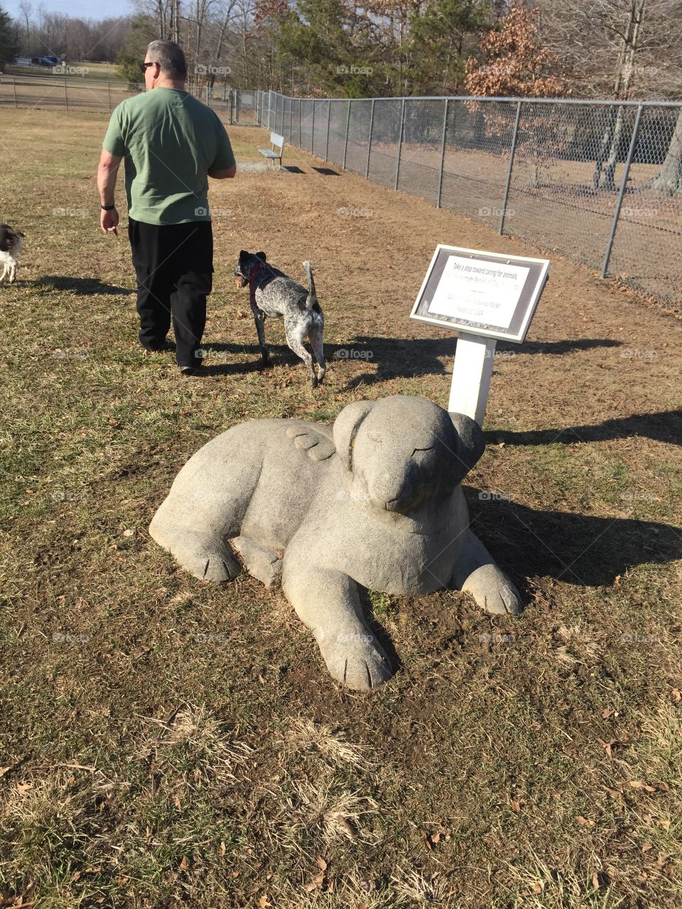 Stone dog statue at dog park