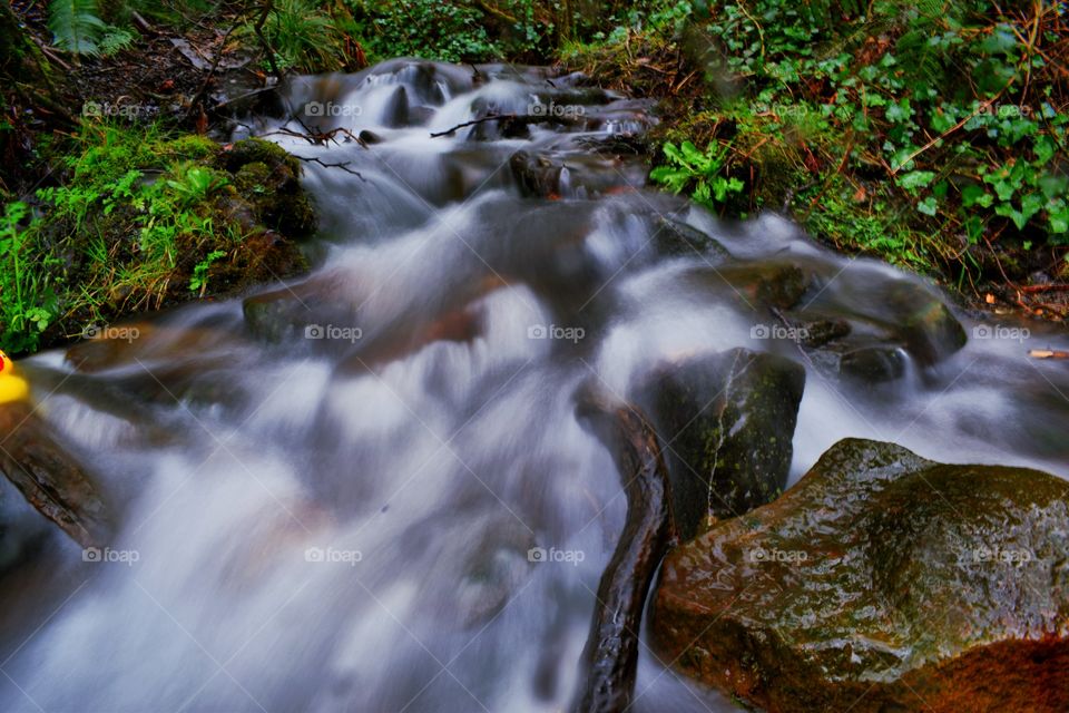 Water moving in a stream 