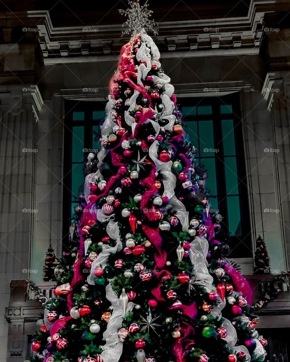 Christmas tree at Union Station 2019