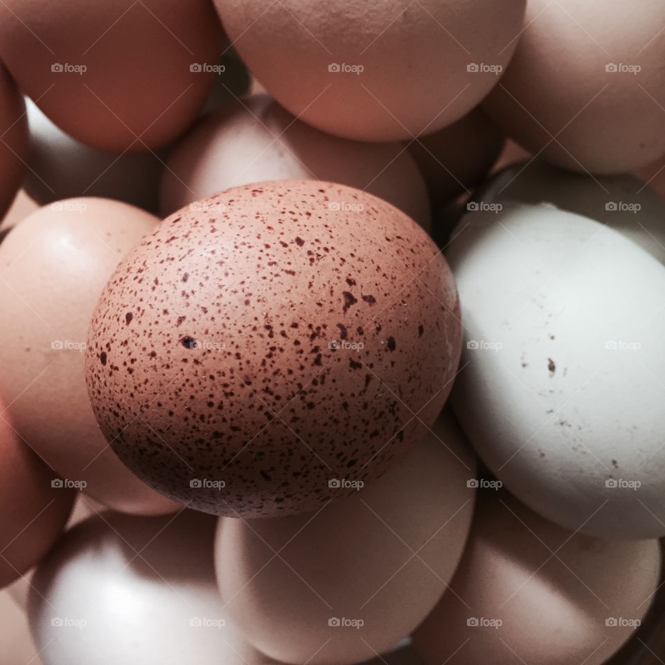 Macro eggs