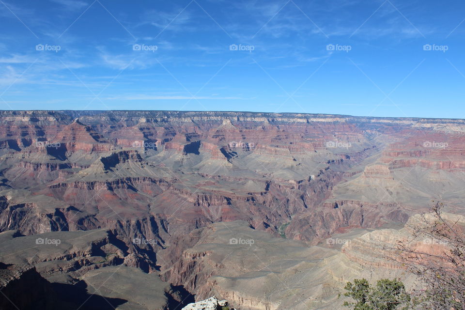 Grand Canyon View