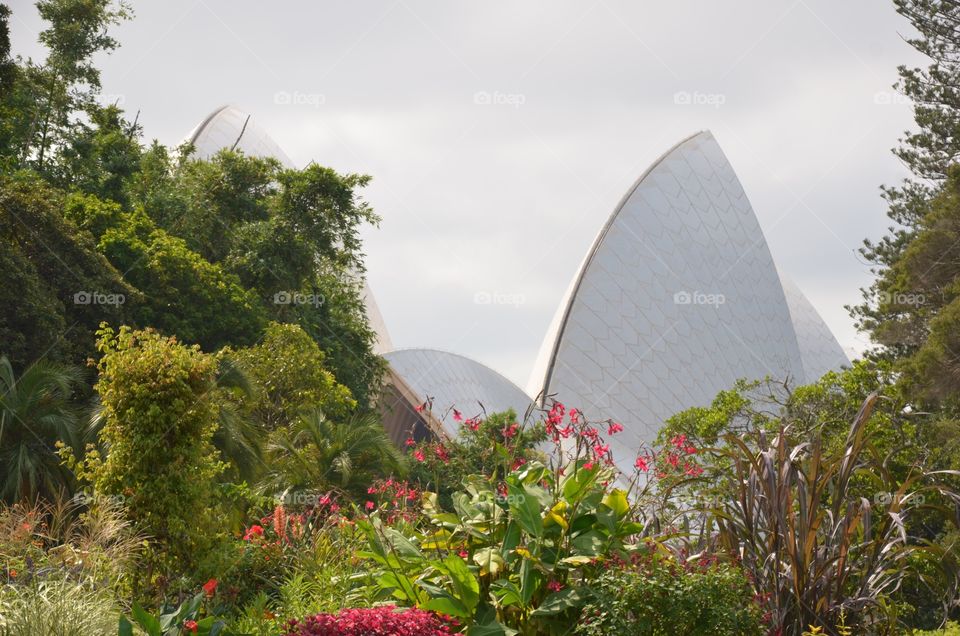 Botanical gardens with Opera house