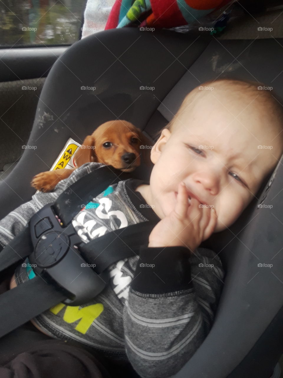 wanting out of carseat