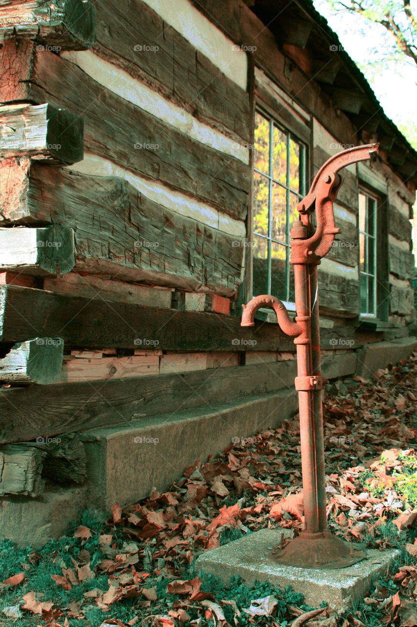 Take the Nostalgic Way Home ( Series )