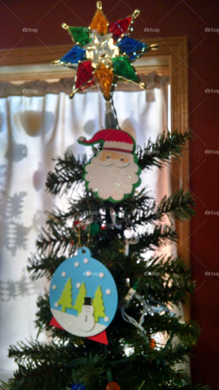 Christmas, Winter, Christmas Tree, Celebration, Decoration