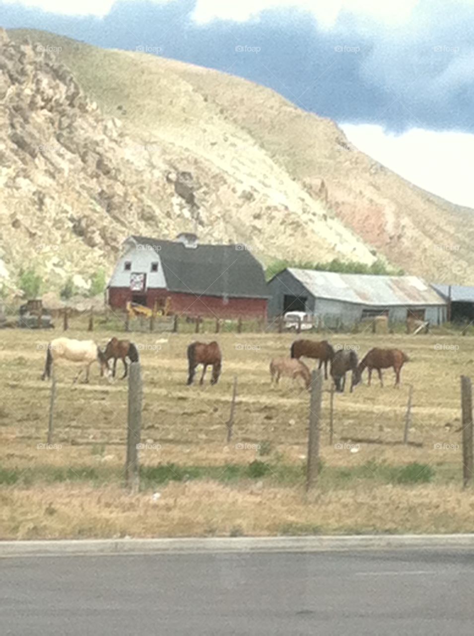 Wyoming or Idaho