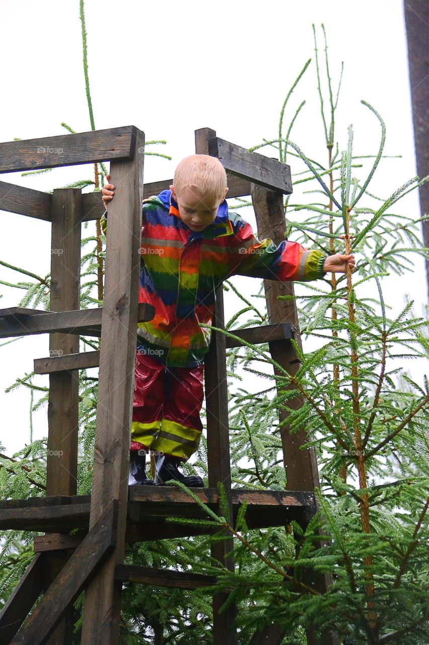 Playing in the forest