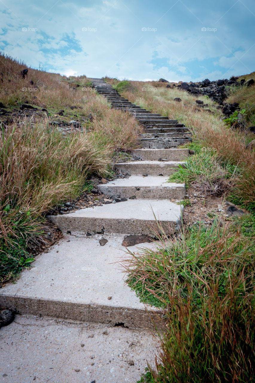 stairway to nature