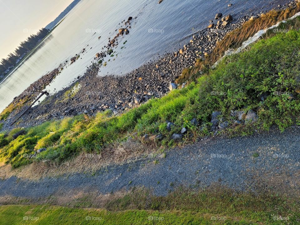 Shoreline Walking Path