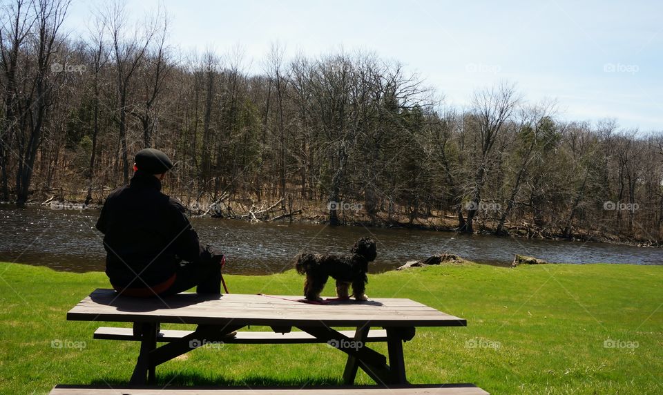 By the River. Man and dog on a picnic table