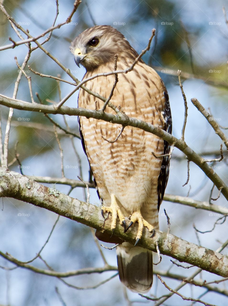 Up close and personal