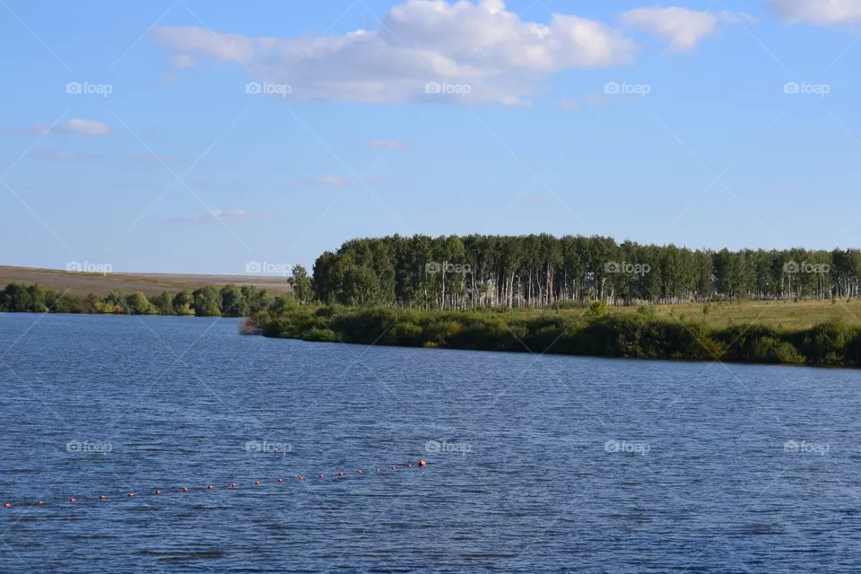 Pond