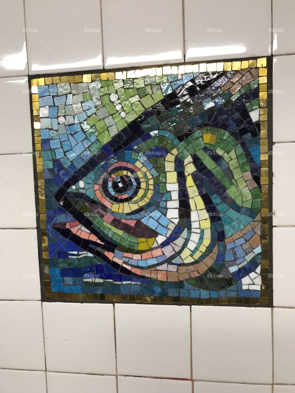 Fish in the NYC subway