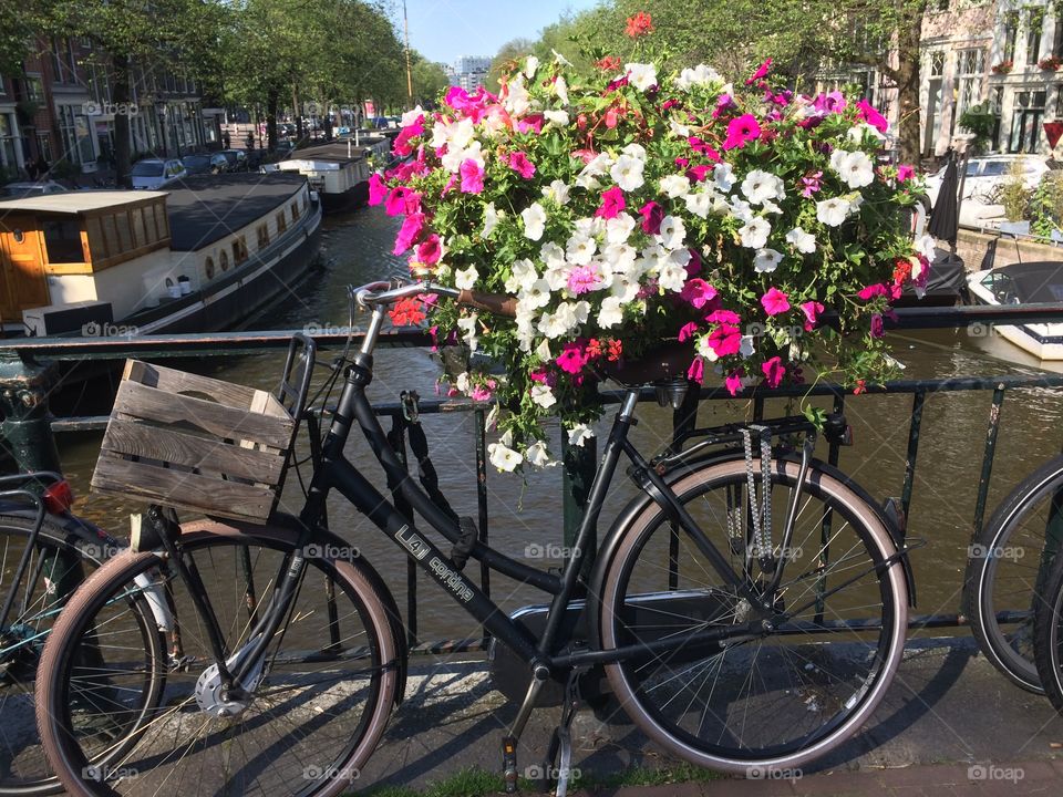 Travel by bike Amsterdam
